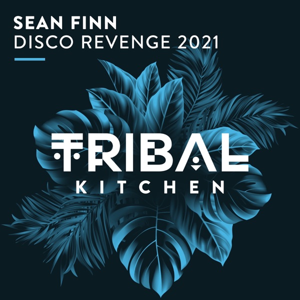 Disco Revenge 2021 (Radio Edit) - Single album cover