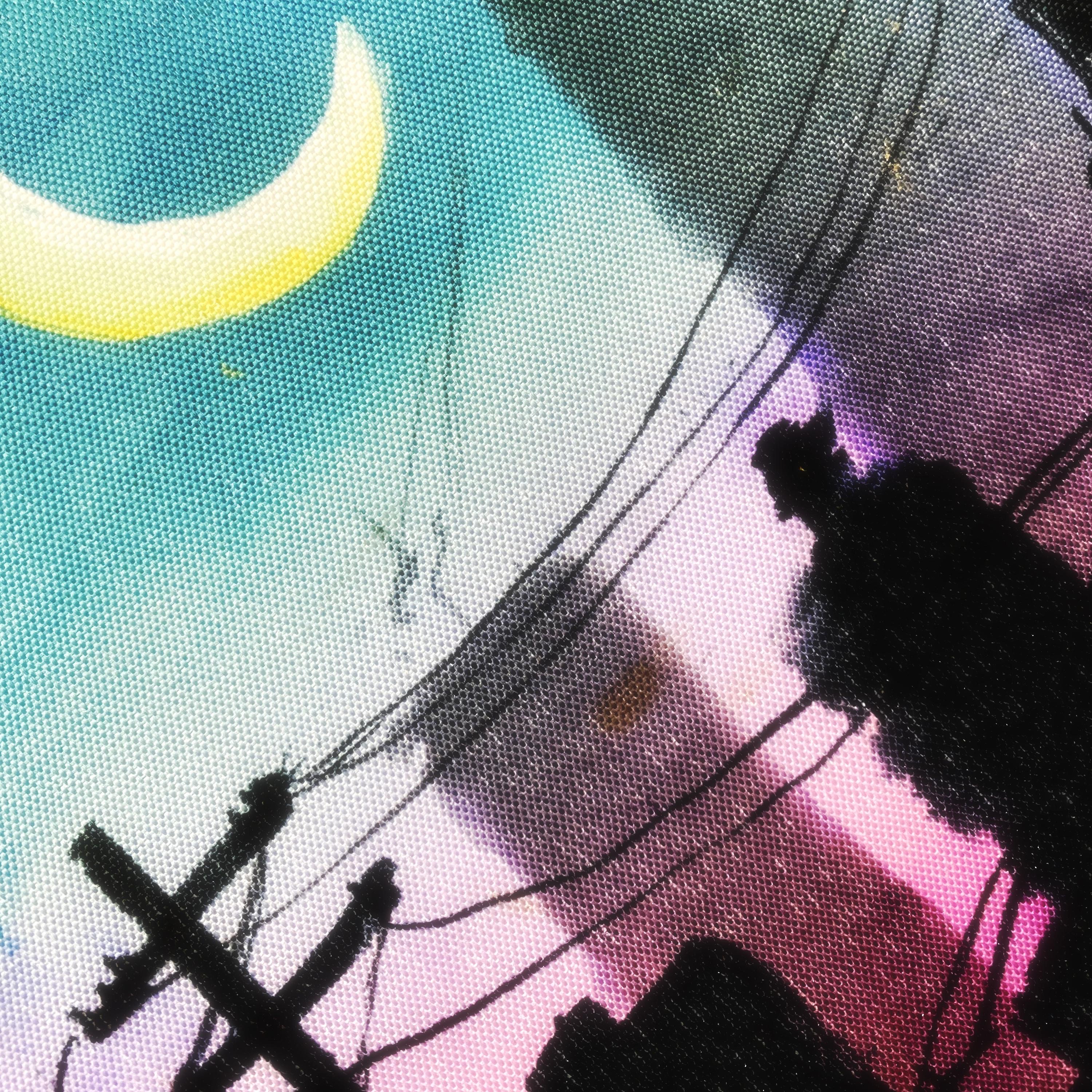 Littleroot - Single album cover