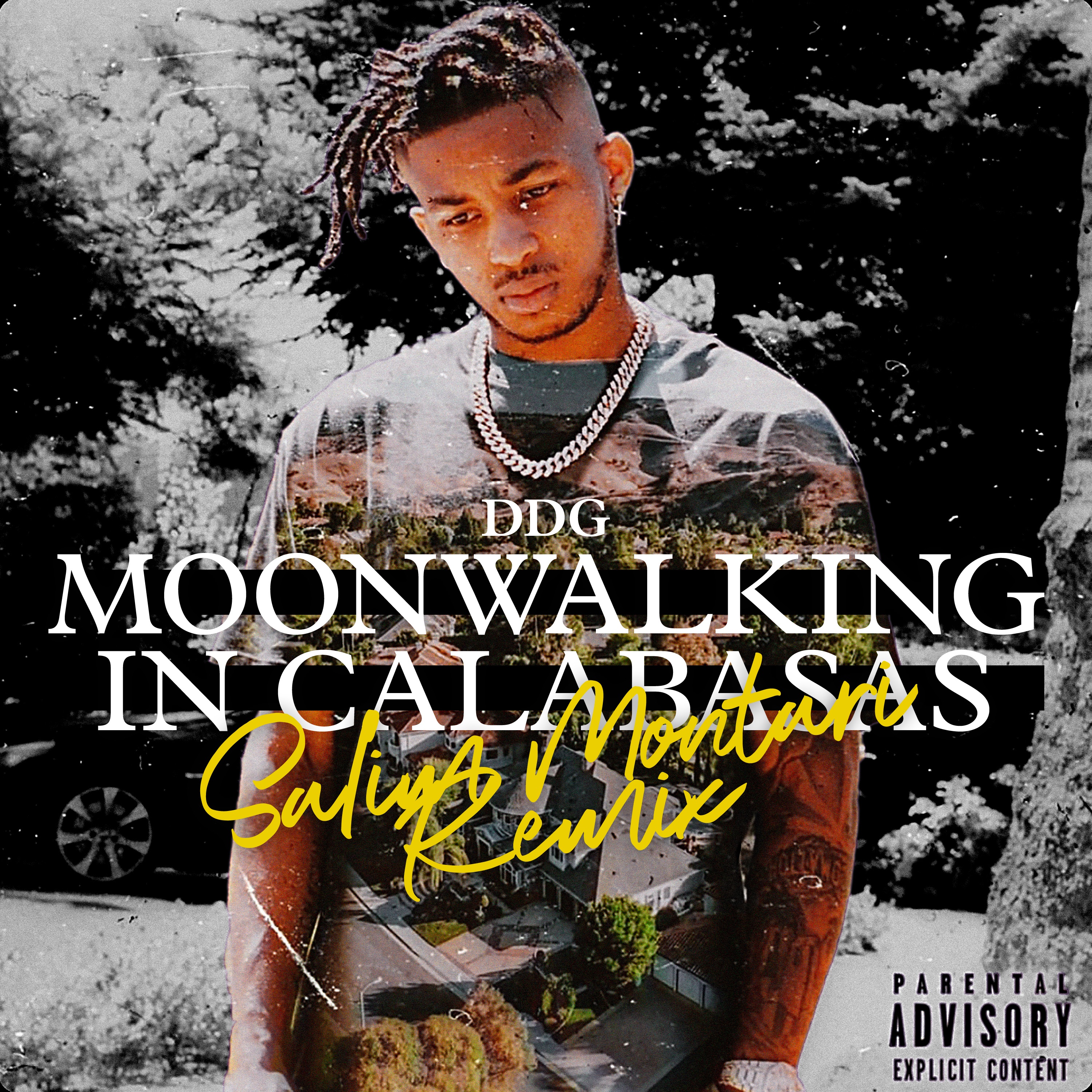 Moonwalking in Calabasas (Salim Montari Remix) - Single album cover