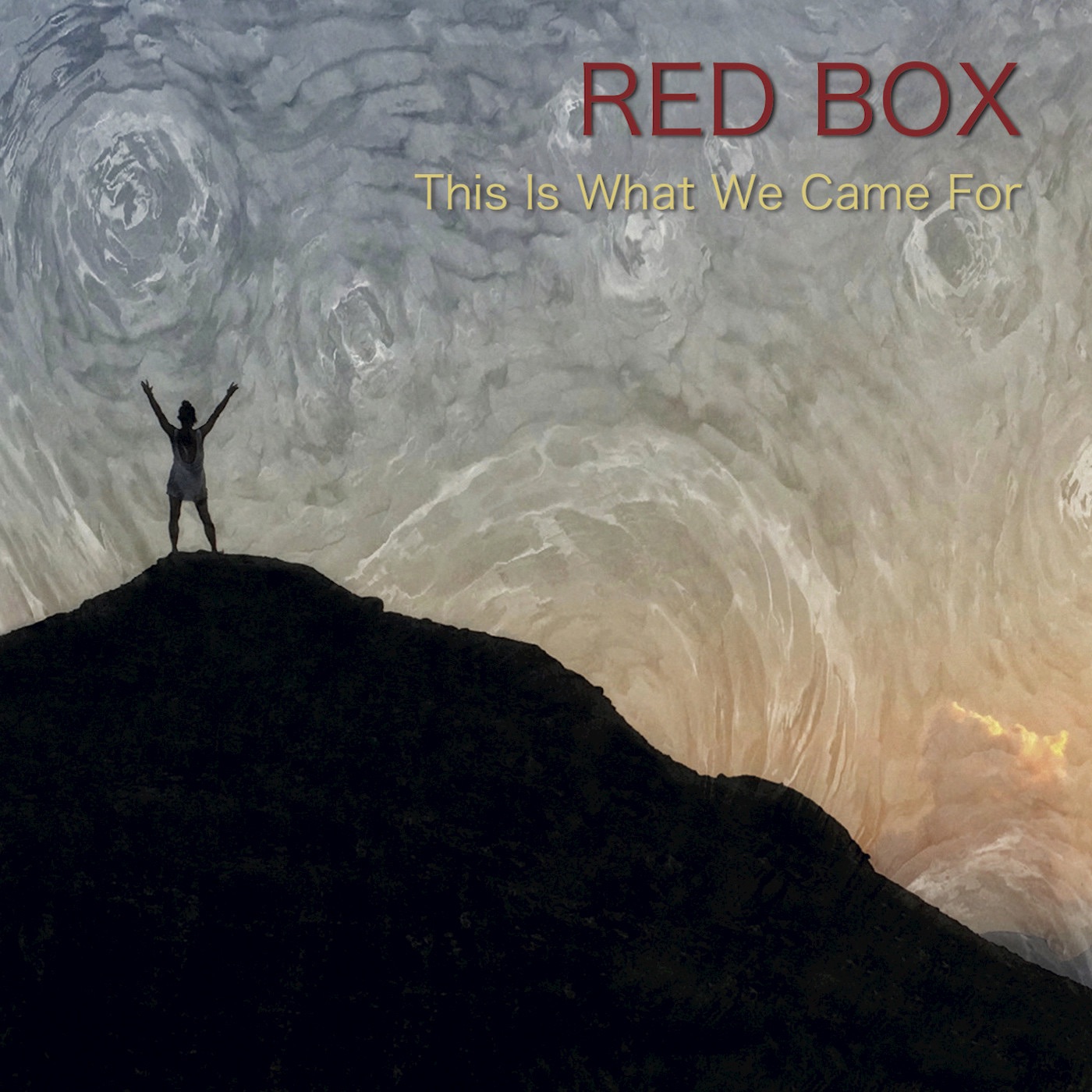 This Is What We Came For - Single album cover