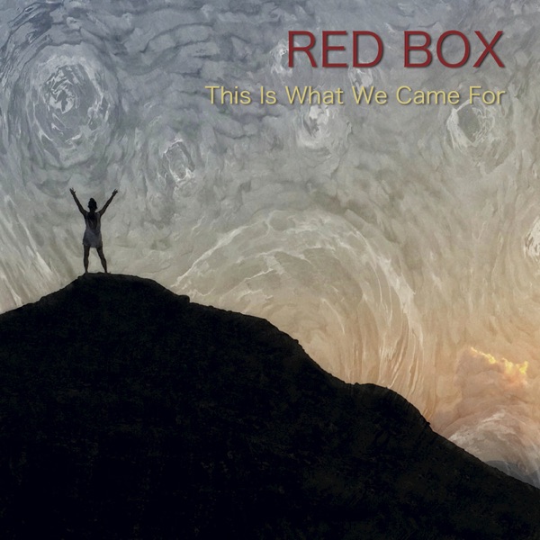 This Is What We Came For - Single album cover