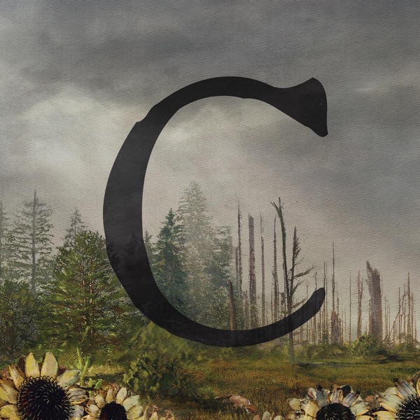 C - Single album cover