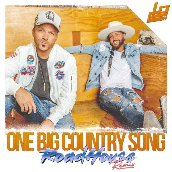 One Big Country Song (RoadHouse Remix) - Single album cover