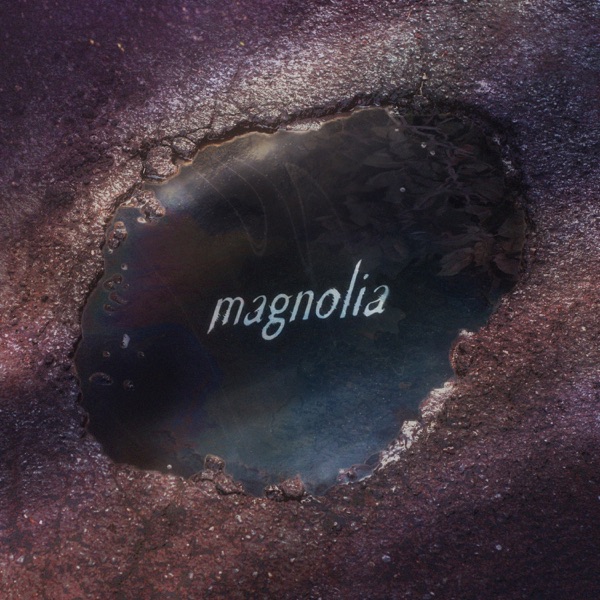 Magnolia (with Zeph) - Single album cover