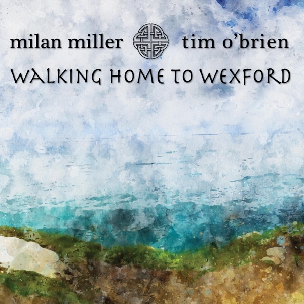 Walking Home to Wexford - Single album cover