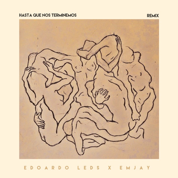 Hasta Que Nos Terminemos (Remix) - Single album cover