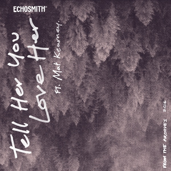 Tell Her You Love Her (feat. Mat Kearney) - Single album cover