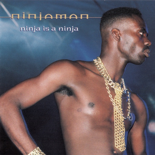 Ninja is a Ninja album cover