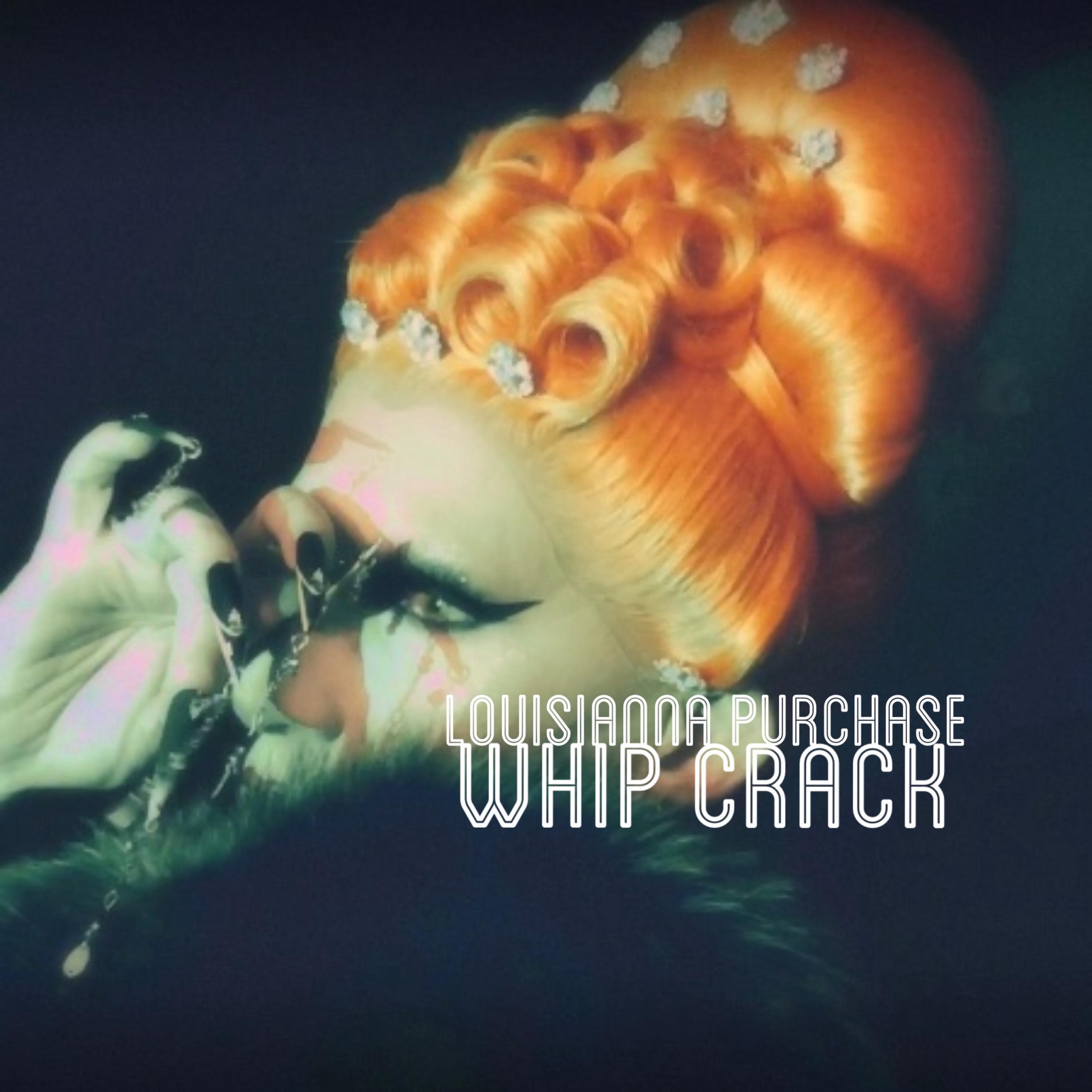 Whip Crack (feat. Mr.Kitty) - Single album cover