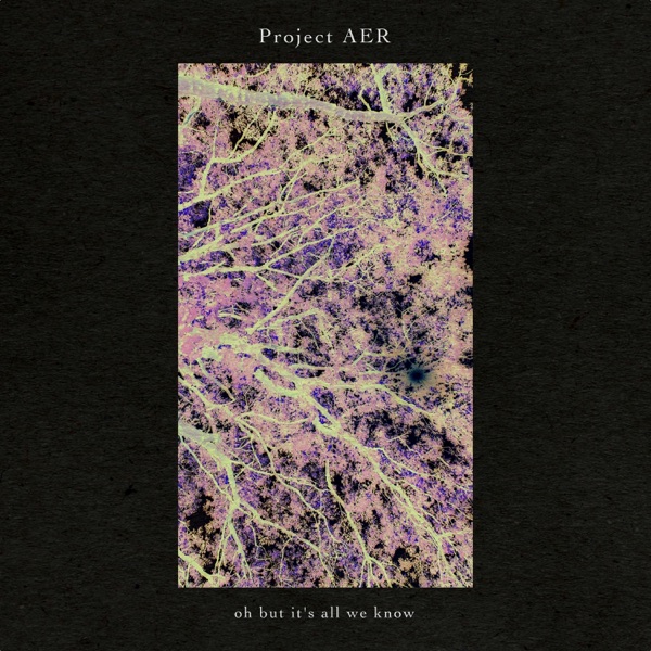 Oh But It's All We Know album cover