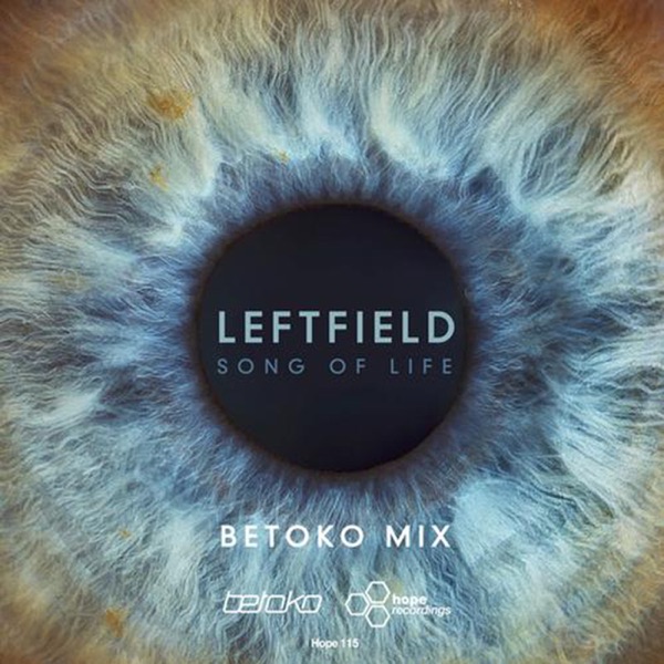 Song of Life (Betoko Remix) - Single album cover