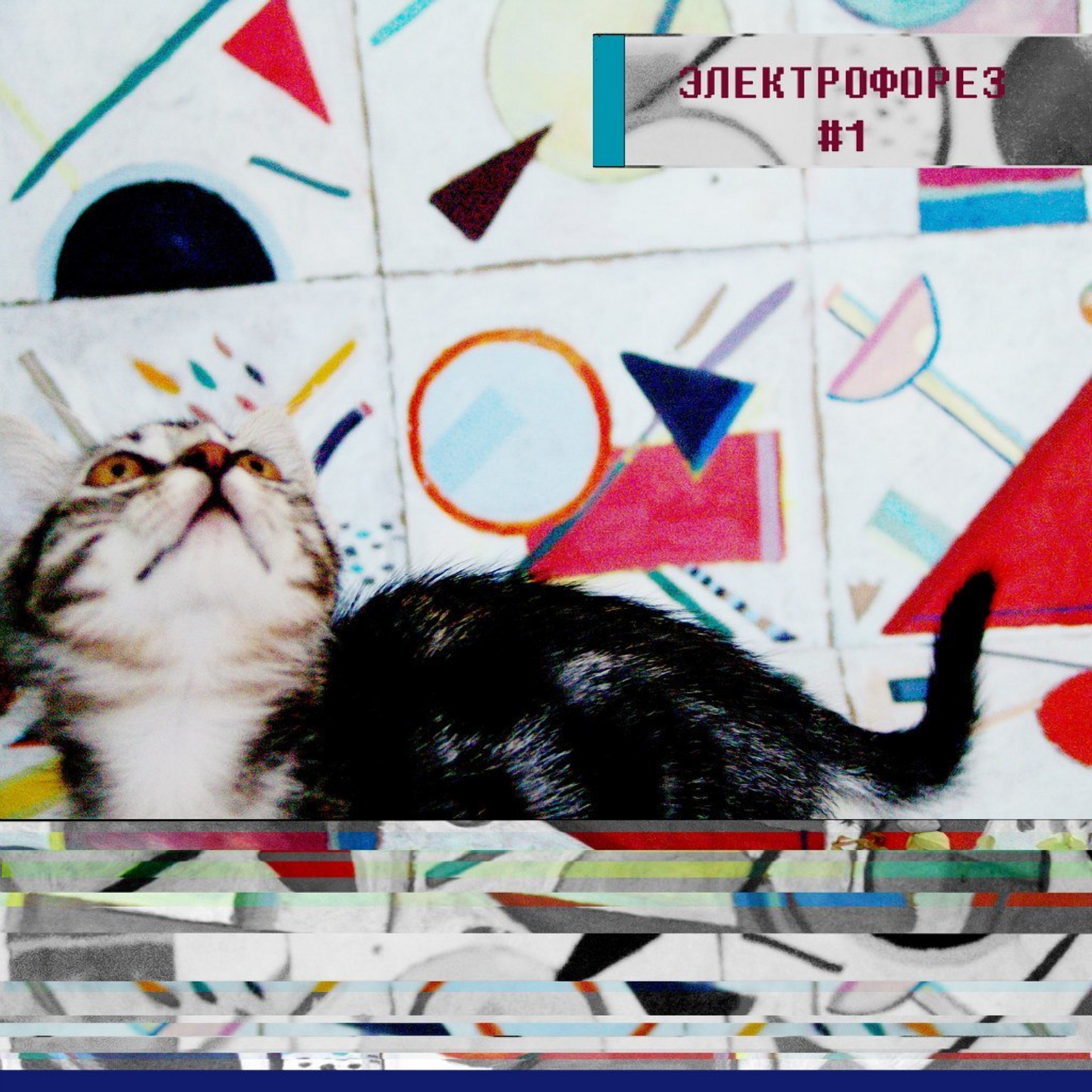 #1 album cover