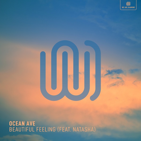 Beautiful Feeling (feat. Natasha) - Single album cover