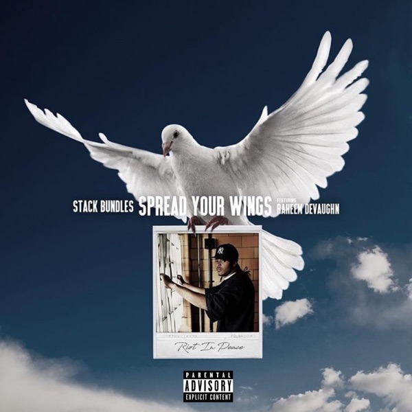 Spread Your Wings (So Fly) (feat. Raheem DeVaughn) - Single album cover