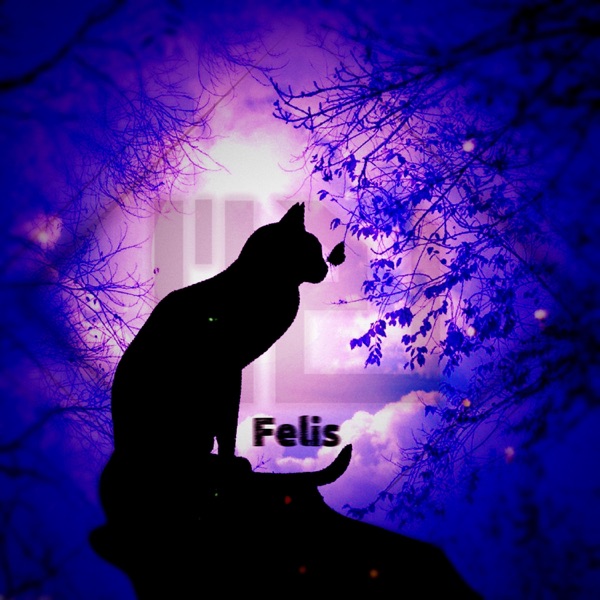 Felis - Single album cover