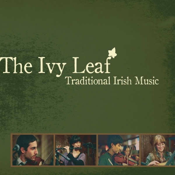 Traditional Irish Music album cover