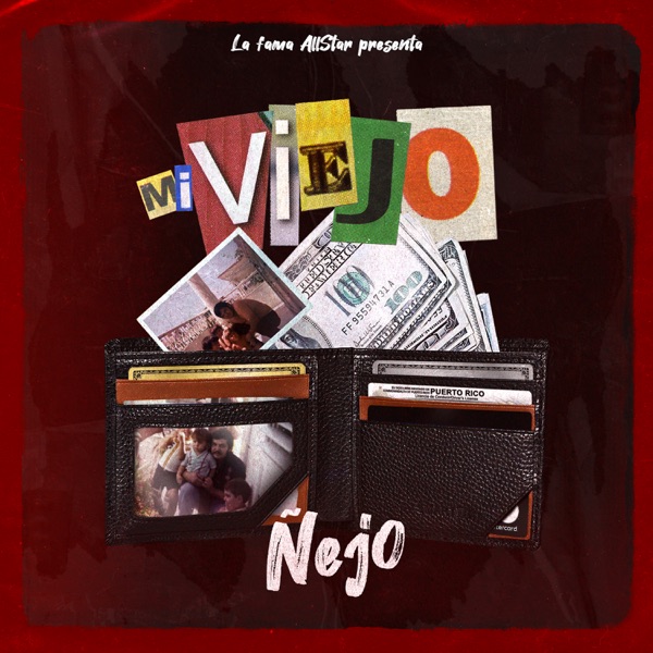 Mi Viejo - Single album cover