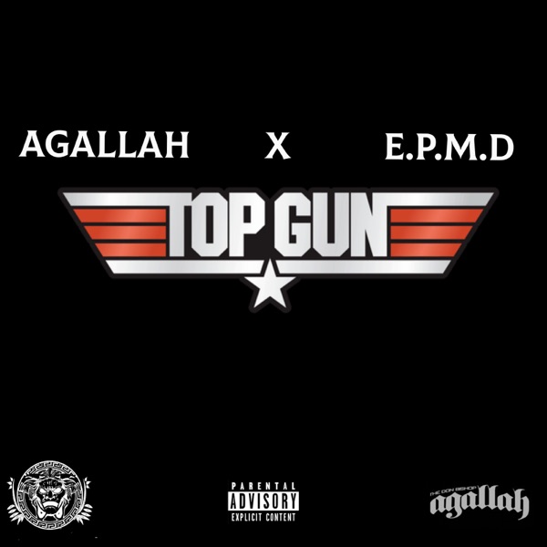 Top Gun - Single album cover
