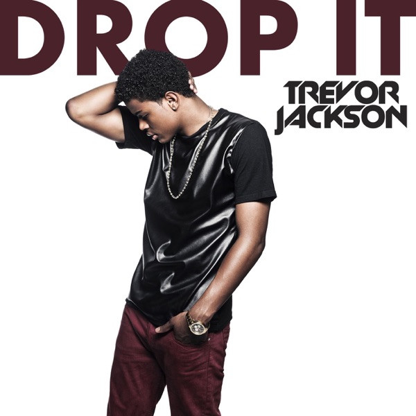 Drop It - Single album cover