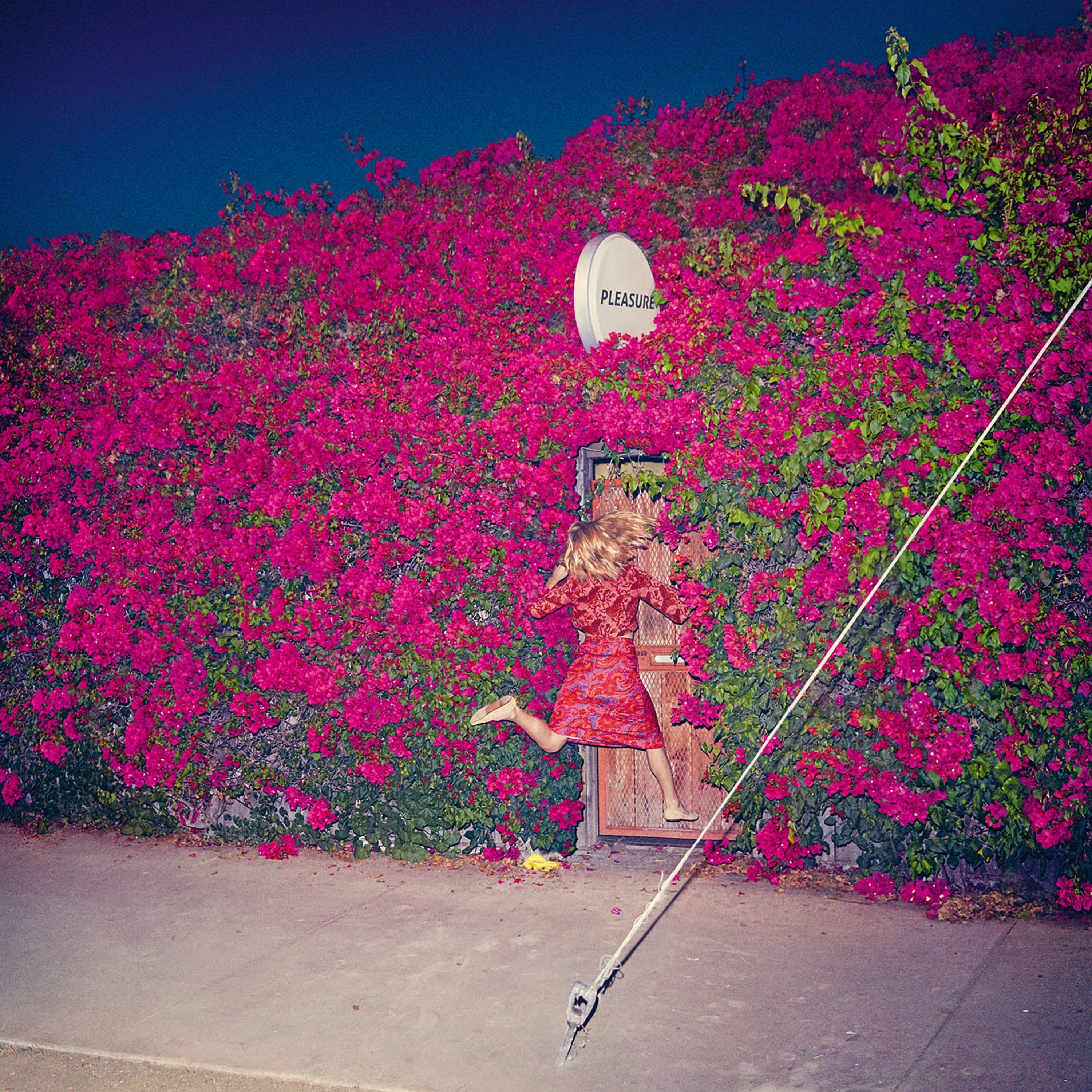 Pleasure album cover