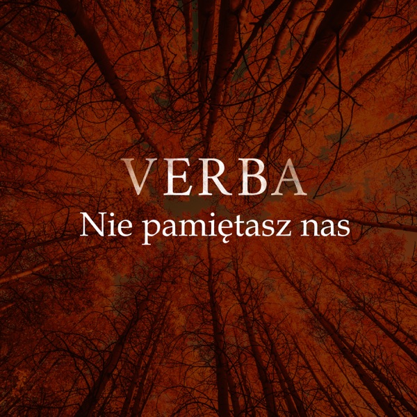 Nie Pamiętasz Nas - Single album cover