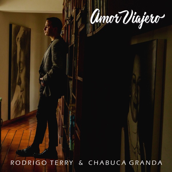 Amor Viajero - Single album cover