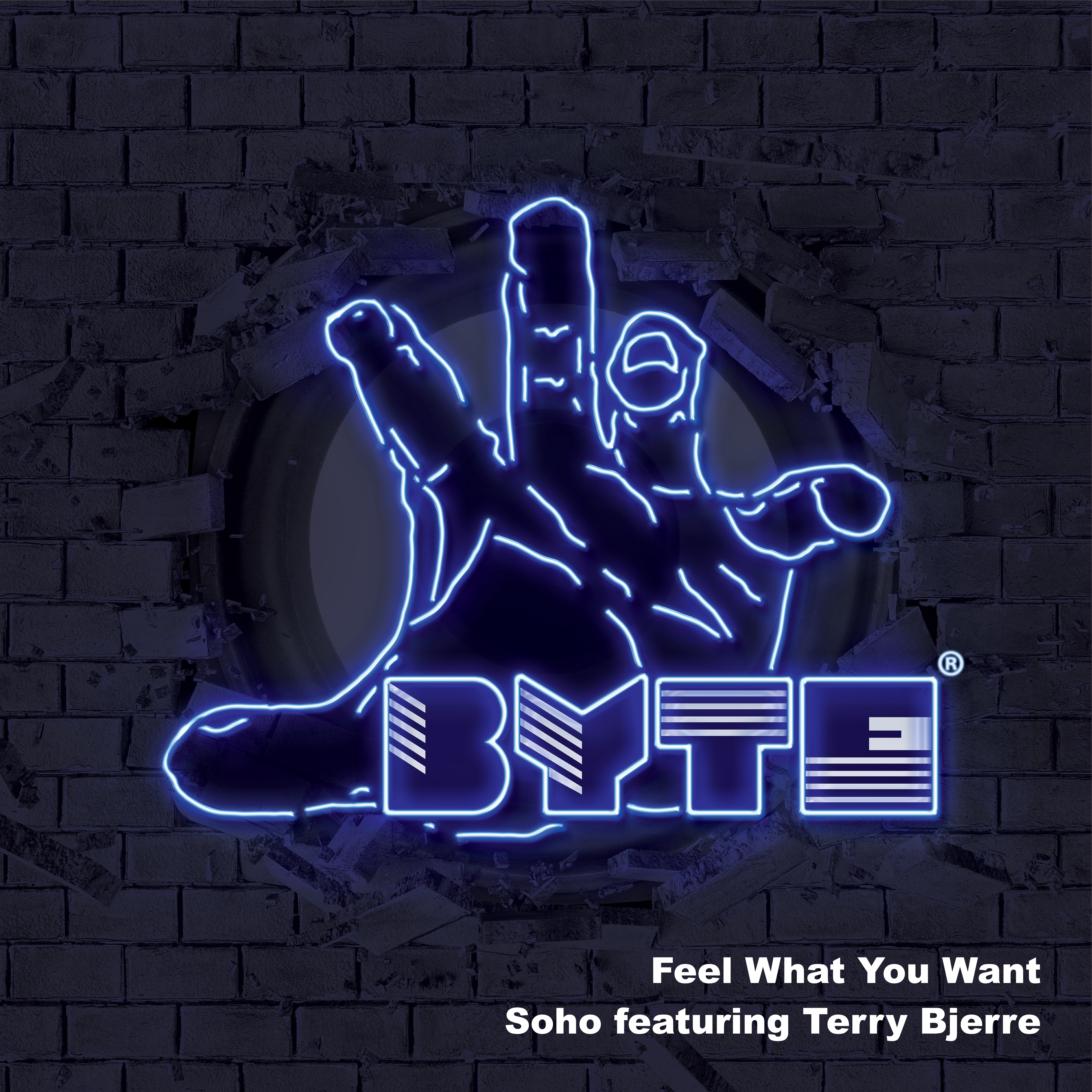 Feel What You Want (feat. Terry Bjerre) - Single album cover