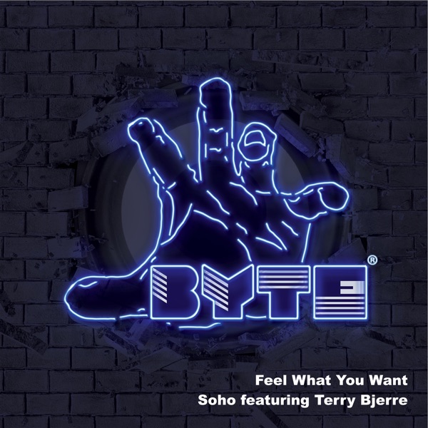 Feel What You Want (feat. Terry Bjerre) - Single album cover