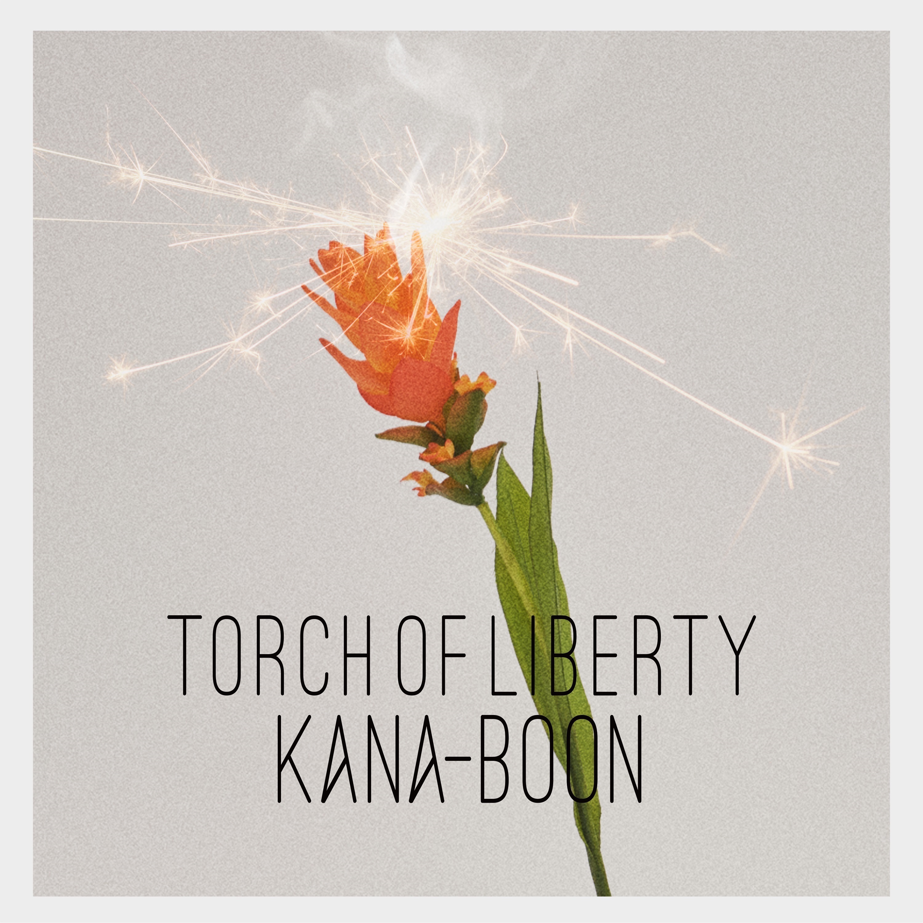 Torch of Liberty - Single album cover