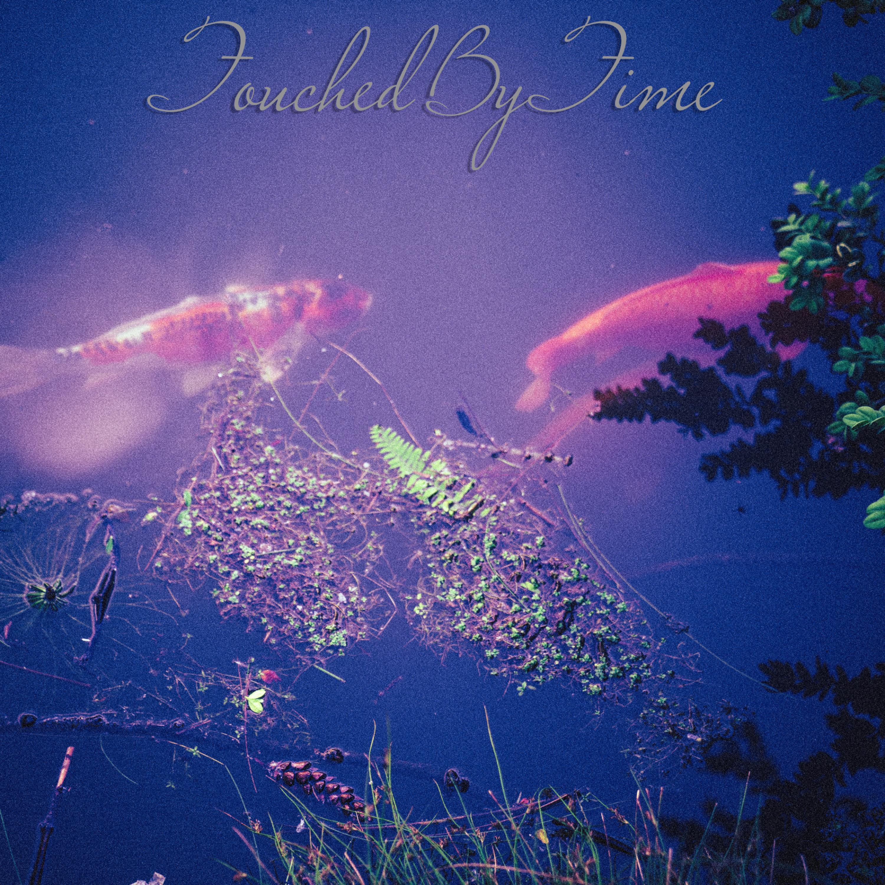 Touched By Time (feat. harmony haven) - Single album cover