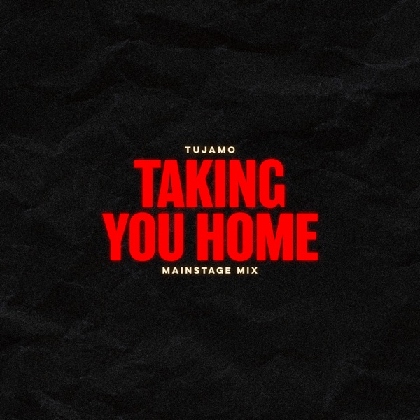 Taking You Home (Mainstage Mix) - Single album cover