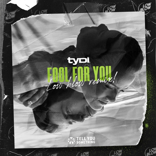 Fool for You (Low Blow Remix) - Single album cover