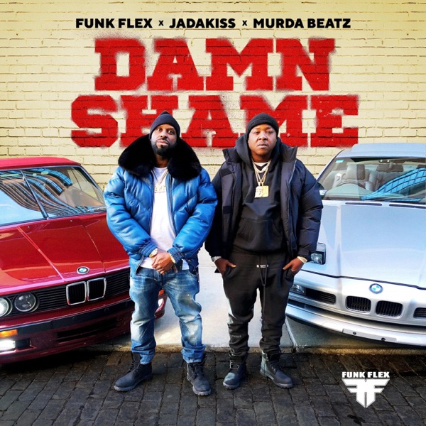 Damn Shame - Single album cover