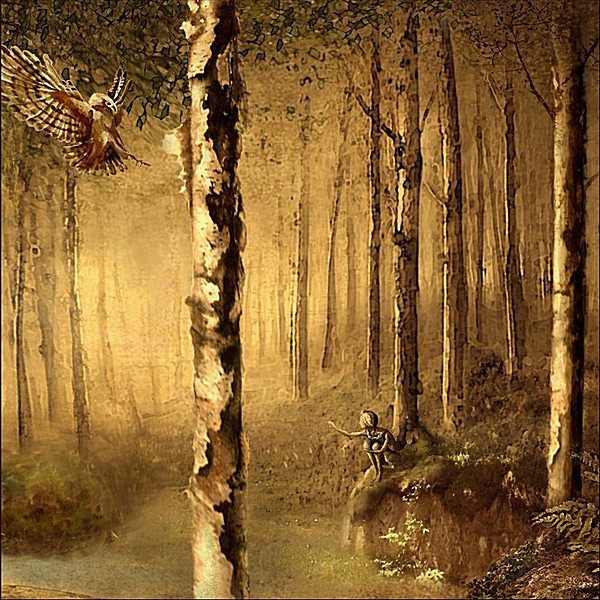 A Stone, A Leaf, An Unfound Door album cover