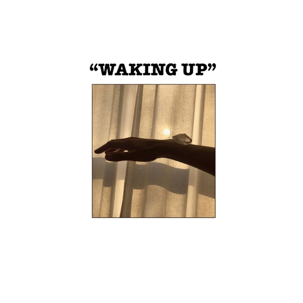 Waking Up (feat. Charlotte Gainsbourg) - Single album cover