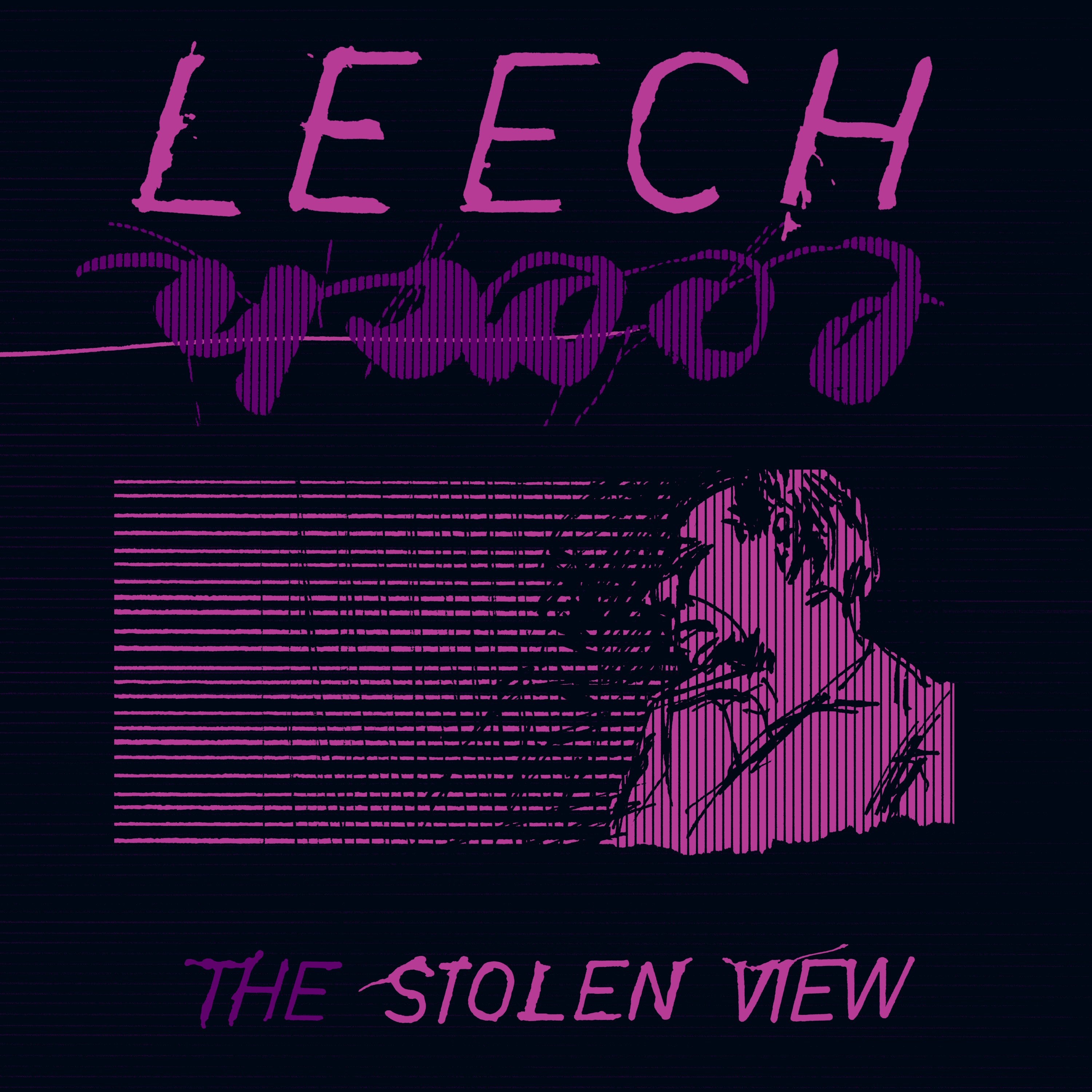The Stolen View (Remaster) album cover