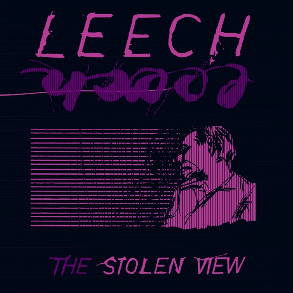 The Stolen View (Remaster) album cover