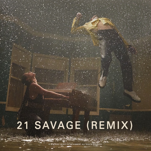 Show Me Love (Remix) [feat. 21 Savage & Miguel] - Single album cover