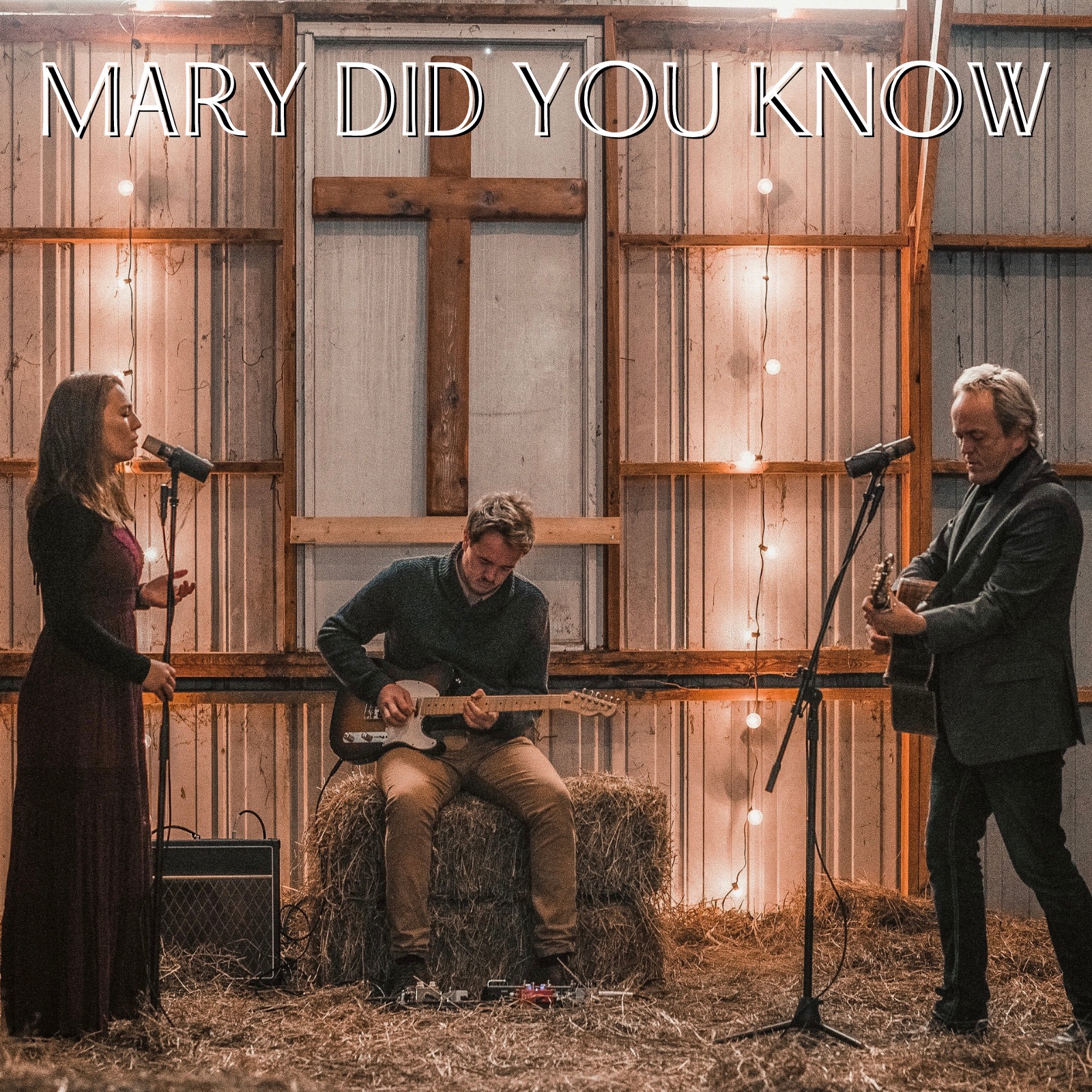 Mary Did You Know - Single album cover