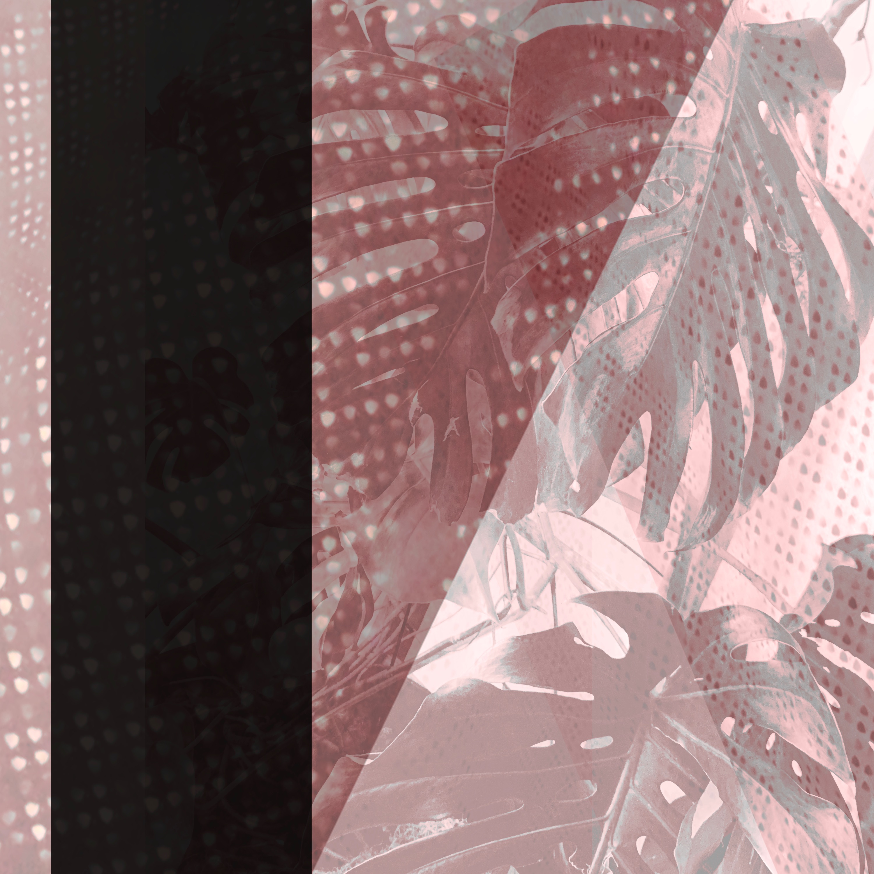 Tree Ghost / lagged - EP album cover