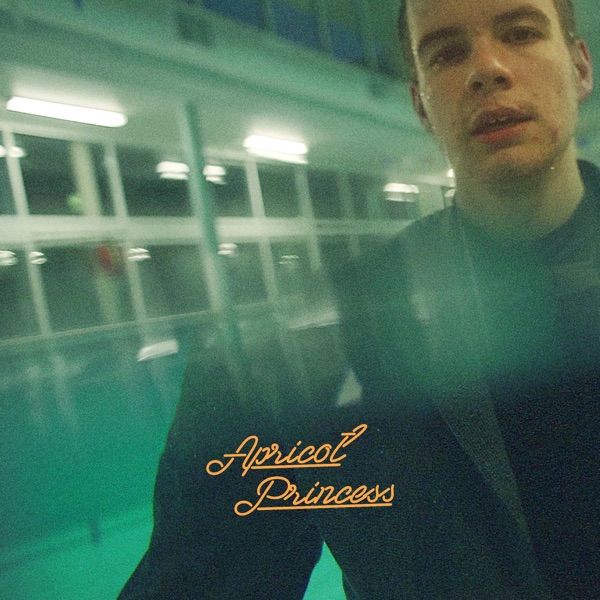 Apricot Princess album cover