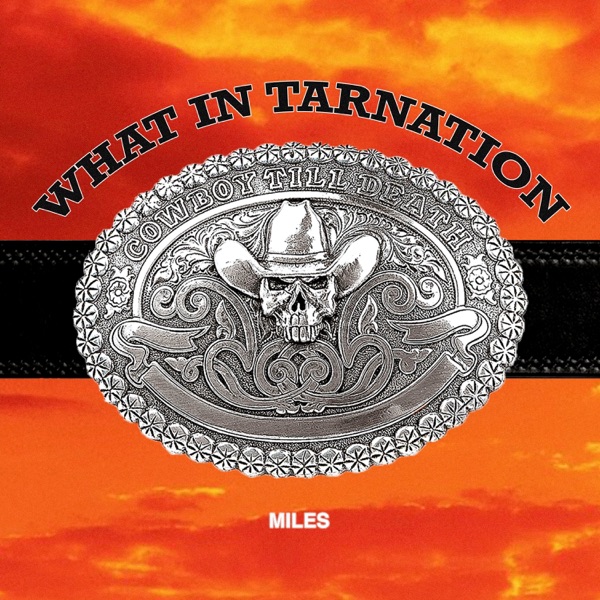 What in Tarnation - Single album cover