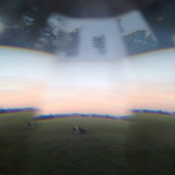 Dumb Ideals album cover