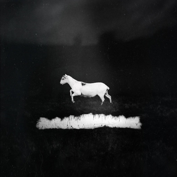 Prédateurs album cover