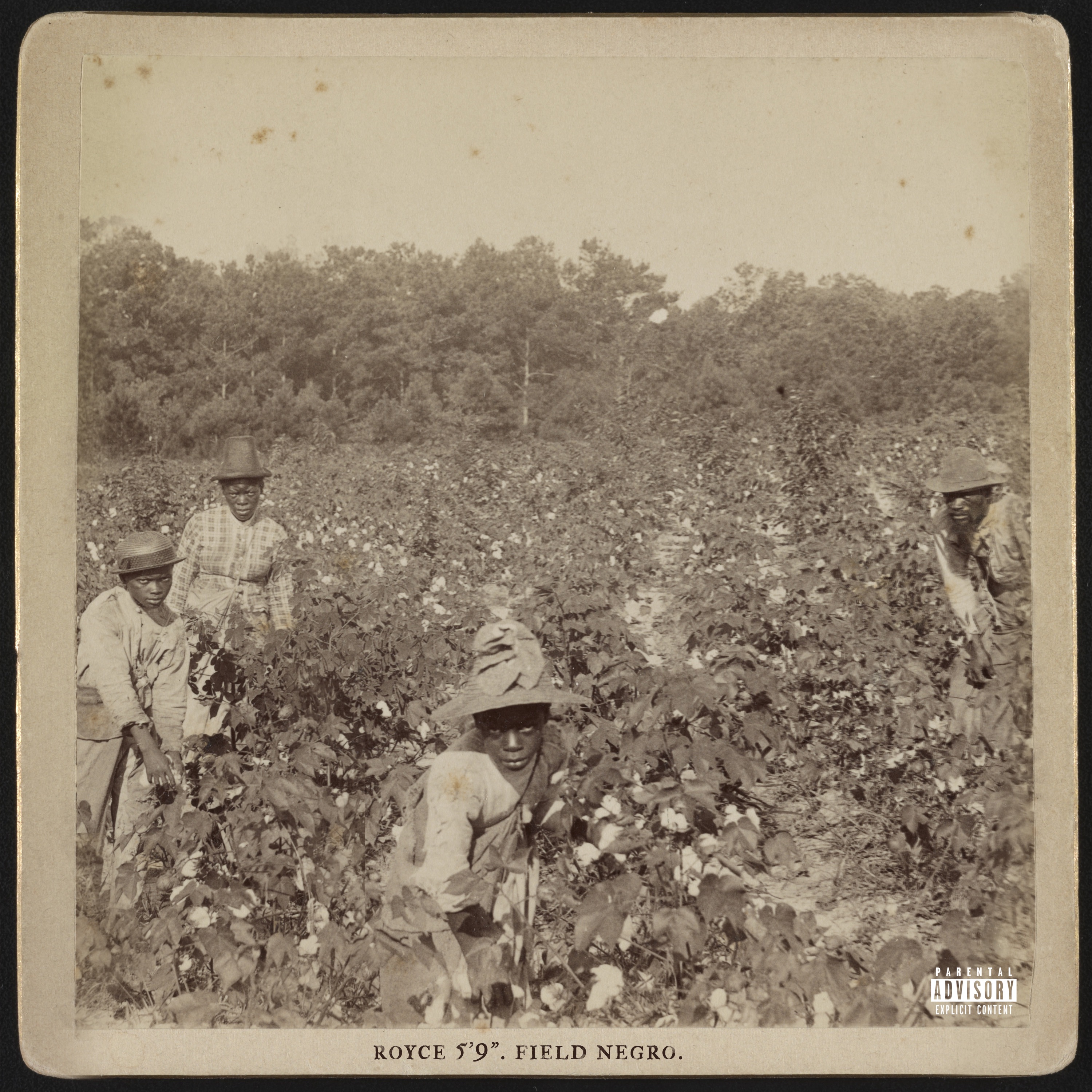 Field Negro - Single album cover