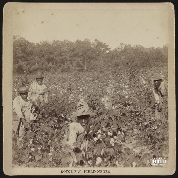 Field Negro - Single album cover