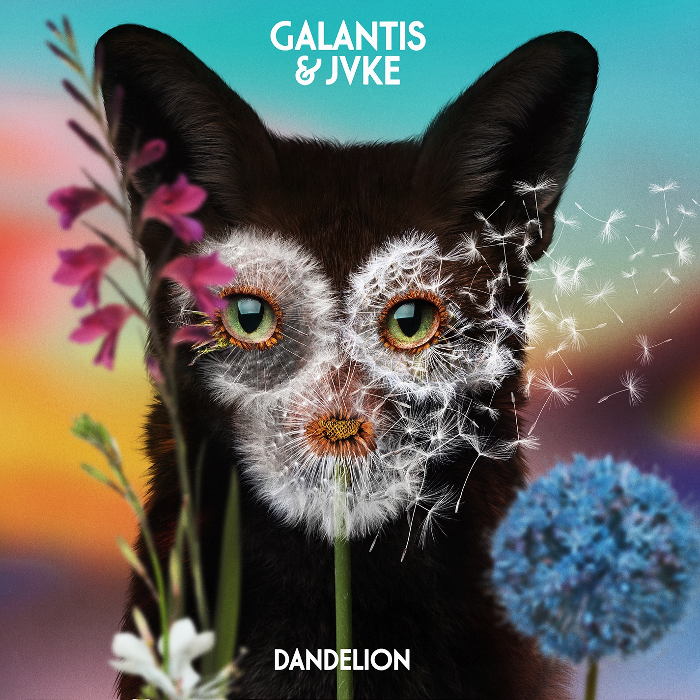 Dandelion - Single album cover