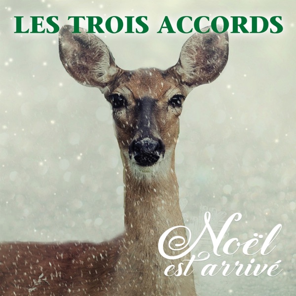 Noël est arrivé - Single album cover