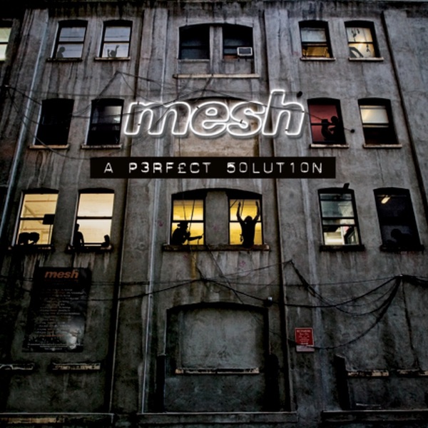 A Perfect Solution album cover