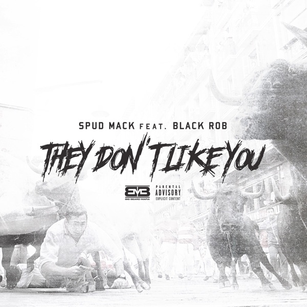 They Dont Like You (feat. black rob) - Single album cover